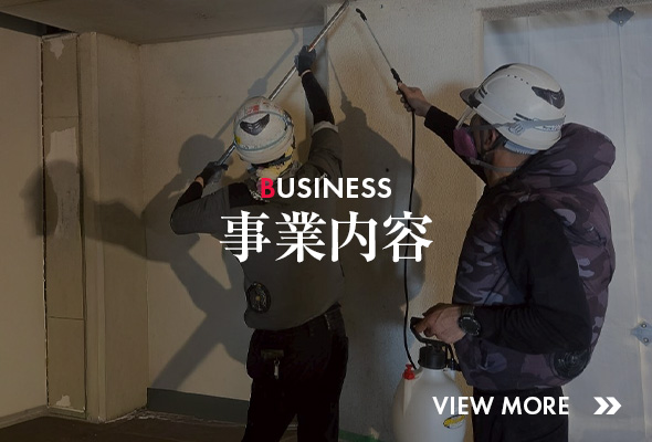bnrhalf_business_off